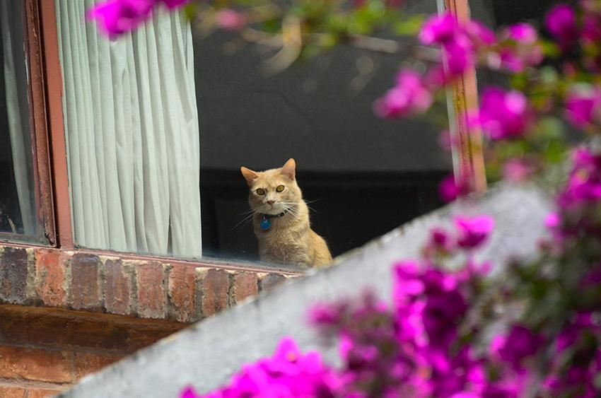 Hostal La Pinta Bogotá Exteriér fotografie
